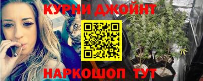 спиды Пугачёв