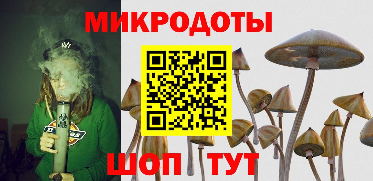 Рассказово  Галлюциногенные грибы Psilocybine cubensis  Вход с VPN 